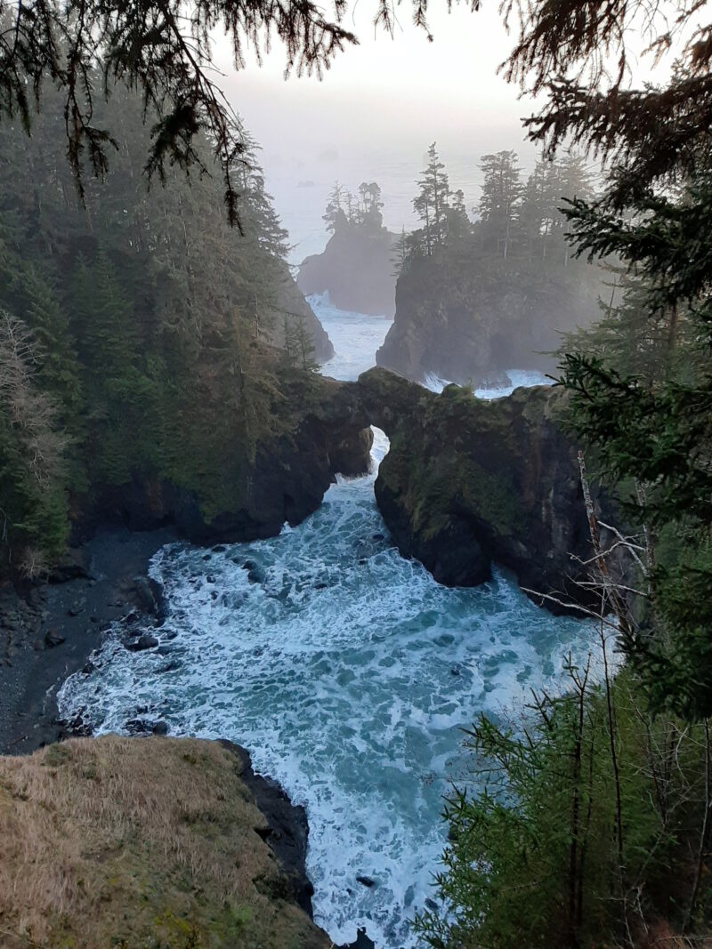Women-only groupshoot Oregon (clothed)